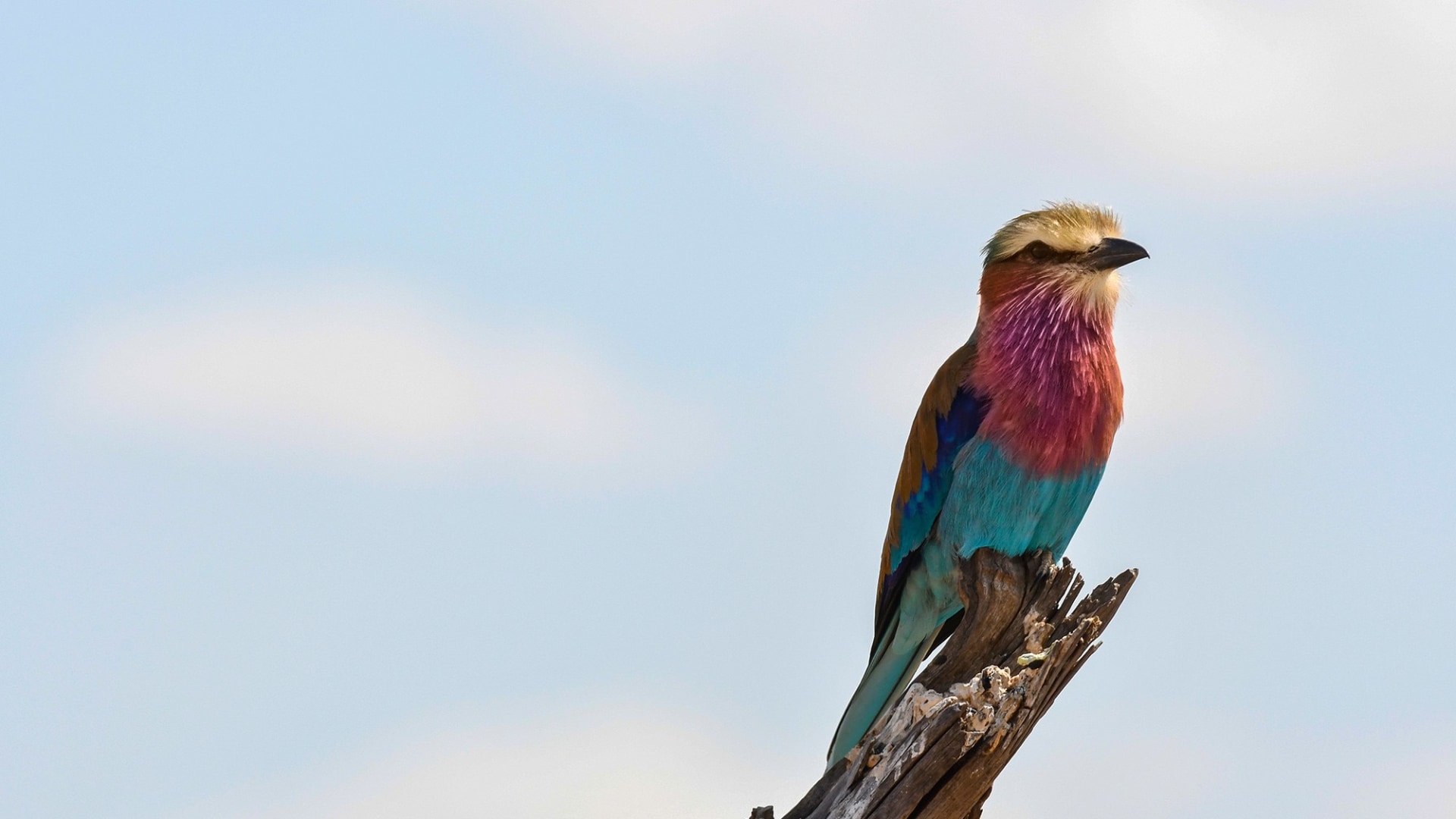 Kenias Nationalparks & Strand